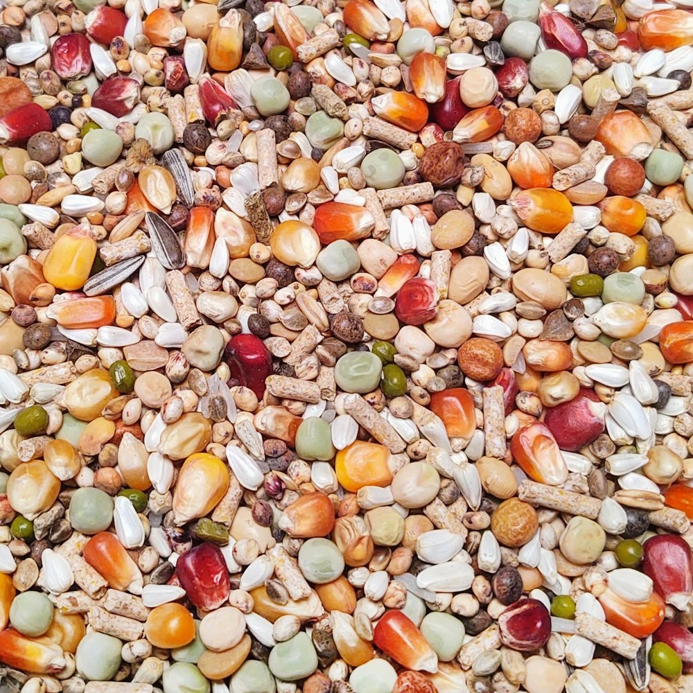 Vanrobaeys Nr.58 Zucht Pro - Revolution 20kg 1 Vanrobaeys Nr.58 Zucht Pro - Revolution 20kg