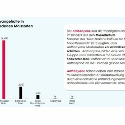 Versele Master Witwer 20kg -Tauben Geschäft antioxidantien 21