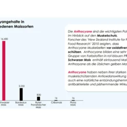 Versele Master Diät Relax 20kg -Tauben Geschäft antioxidantien 23