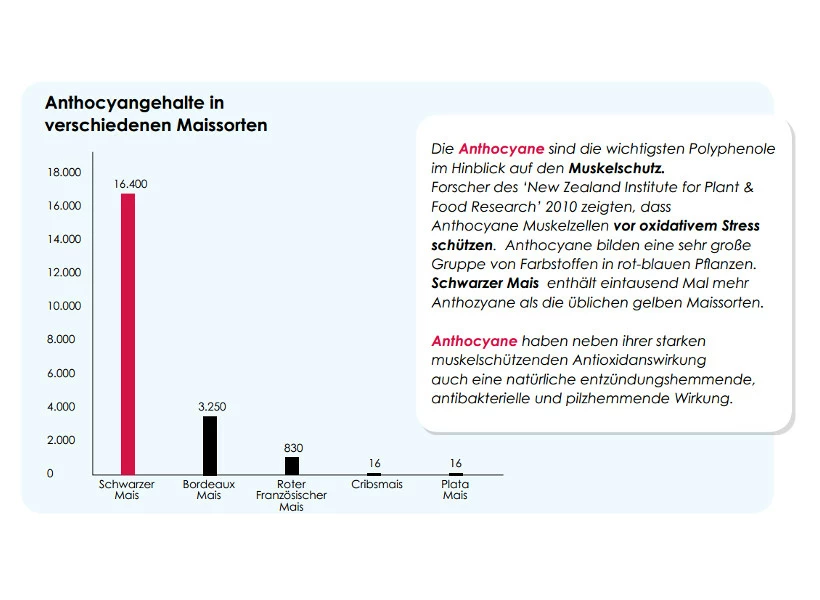 Versele Winter Plus I.C.⁺ 20kg 4 Versele Winter Plus I.C.⁺ 20kg – Bild 4