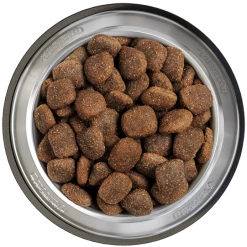 Belcando Adult Power 12,5kg 5 Belcando Adult Power 12,5kg -Tauben Geschäft belcando napf adult power 800x800