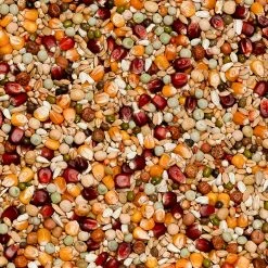 Beyers Premium Jelle Jellema 20kg