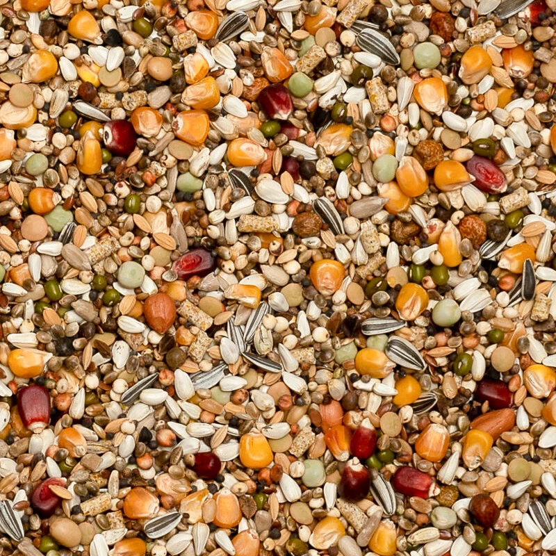 Beyers Premium Jelle Jellema Power 20kg 1 Beyers Premium Jelle Jellema Power 20kg