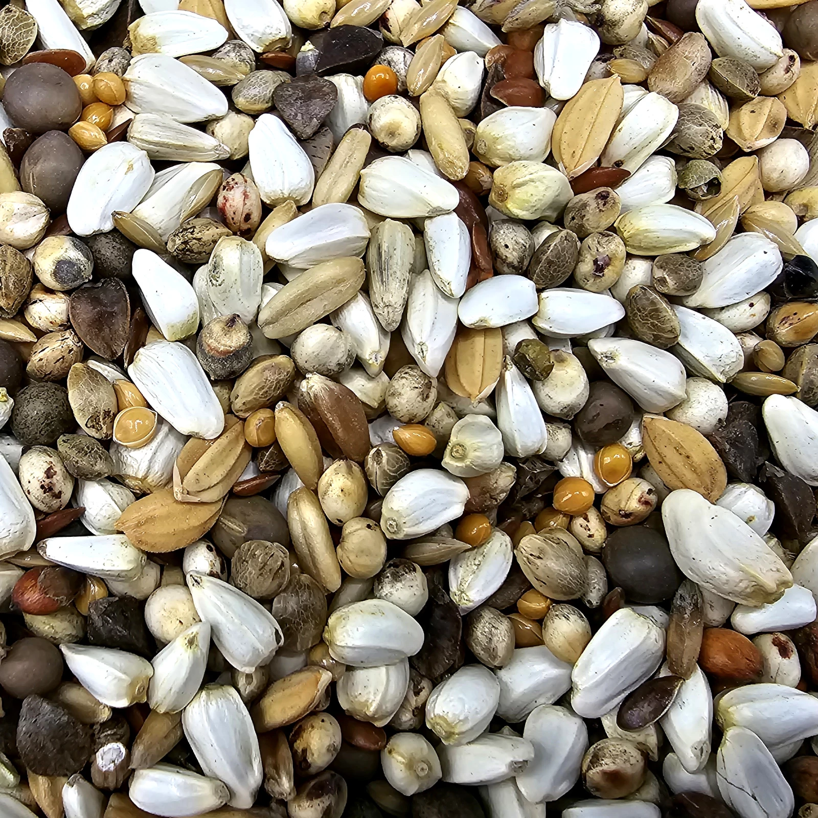 Gladen Super Diät 20kg 1 Gladen Super Diät 20kg