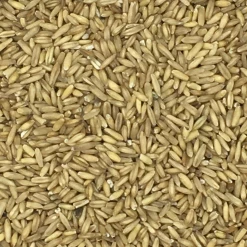 Haferkerne - Vanrobaeys 25kg