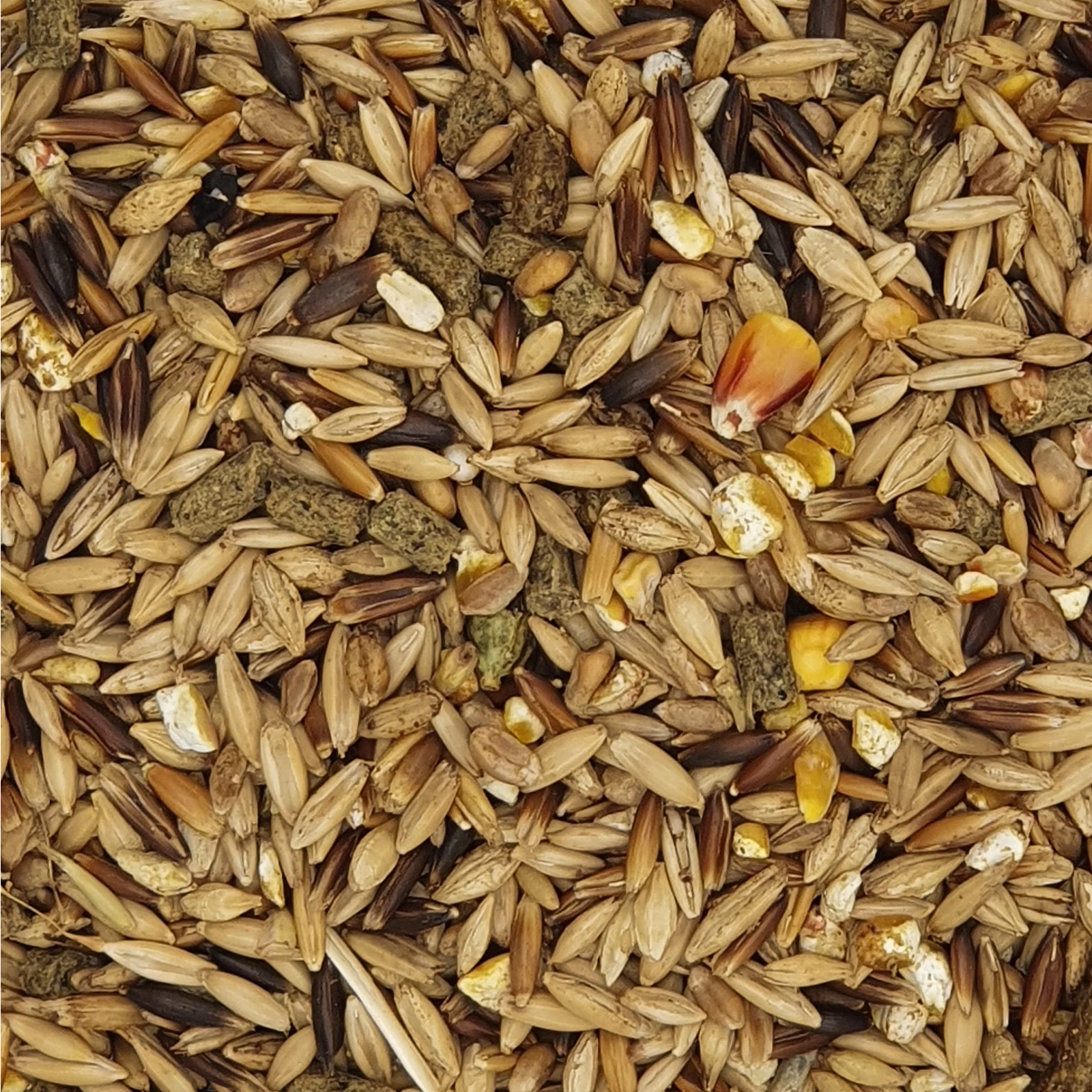 Havens Kentucky Lite E - Energie 25kg 1 Havens Kentucky Lite E - Energie 25kg