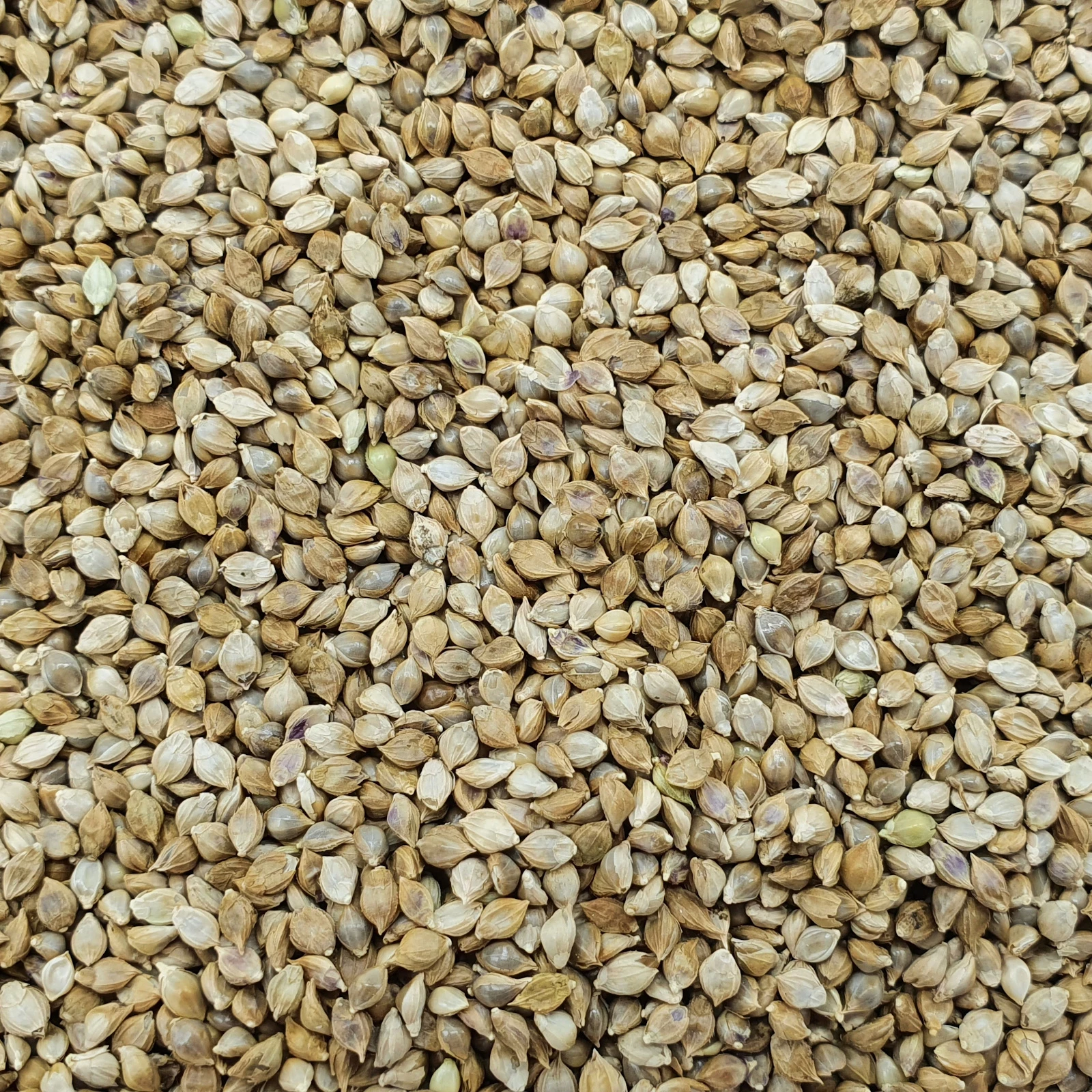 Hirse Japan - Vanrobaeys 15kg 1 Hirse Japan - Vanrobaeys 15kg