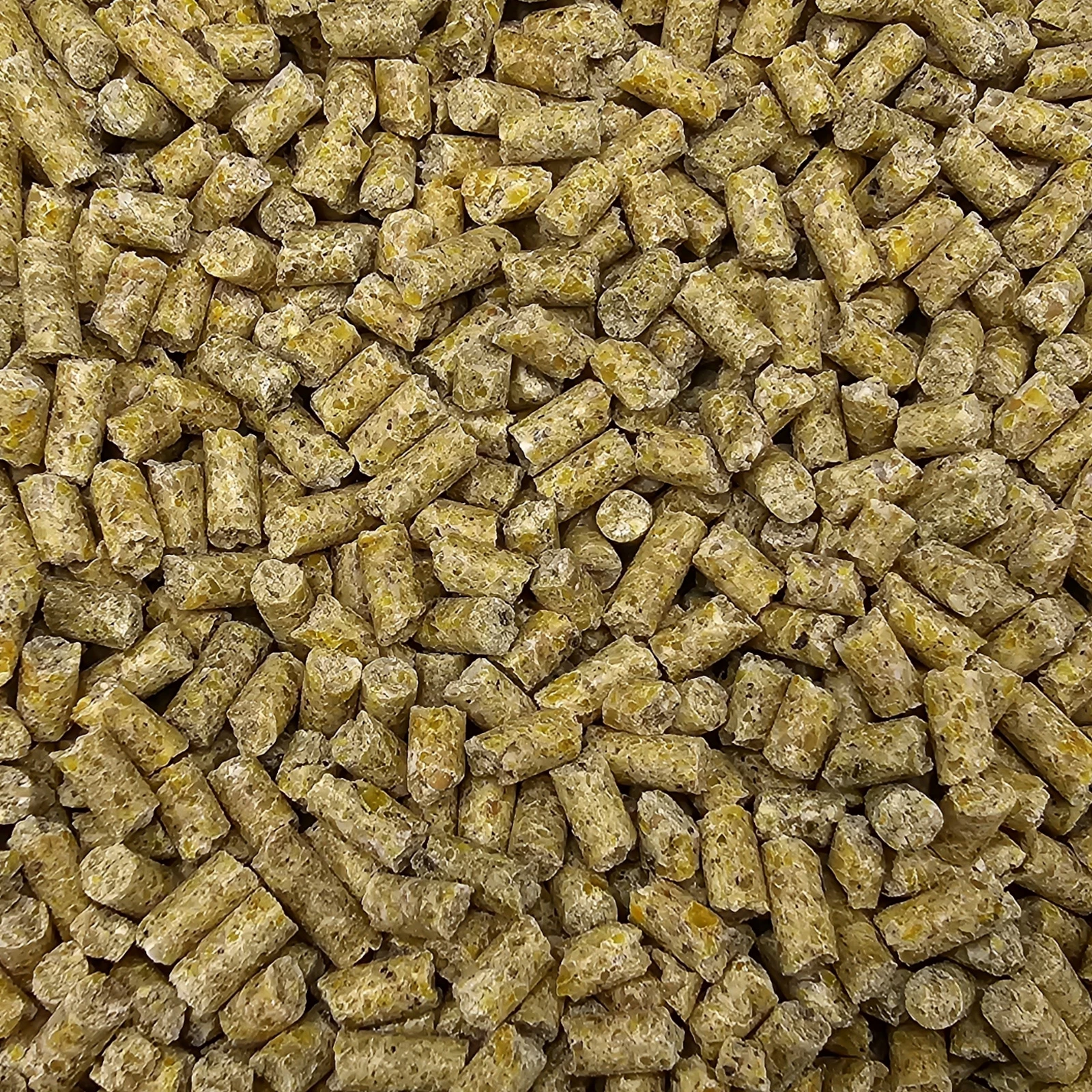 Beyers Kasper Fauna P40 20kg 1 Beyers Kasper Fauna P40 20kg