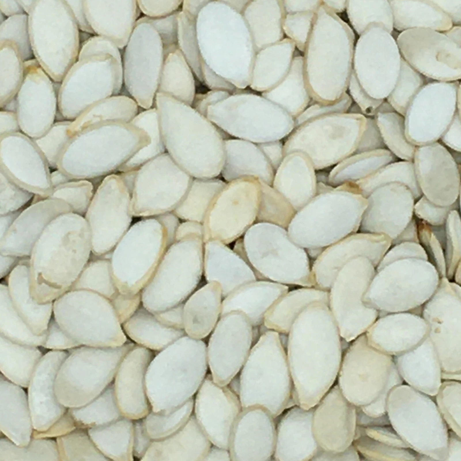 Kürbiskerne Weiß - Gladen 2,5kg 1 Kürbiskerne Weiß - Gladen 2,5kg