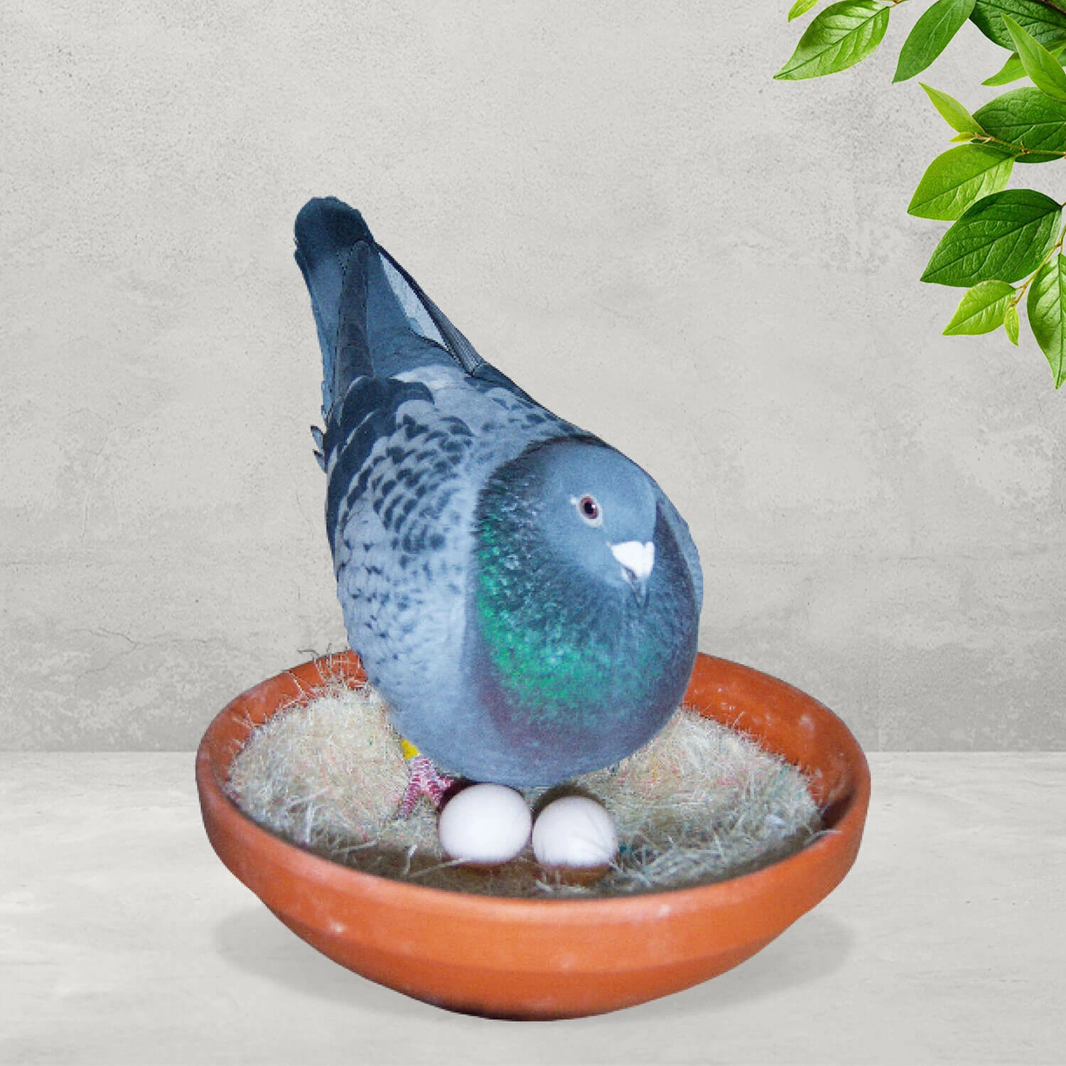 Nesteinlagen Sisal 50 Stück Ø 23cm - Teekontor 1 Nesteinlagen Sisal 50 Stück Ø 23cm - Teekontor