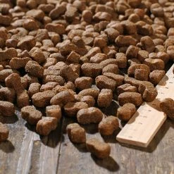 Bewital Bewi Dog Junior 12,5kg -Tauben Geschäft rs2899 junior kroketten lineal img 1767b klein