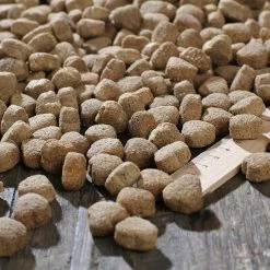 Bewital Bewi Dog Balance 12,5kg 6 Bewital Bewi Dog Balance 12,5kg -Tauben Geschäft rs2902 balance kroketten lineal img 1797b klein1