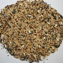 Spinne Rennfutter - Ölsämereien 20kg