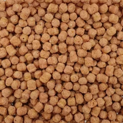 STK Karotten & Rote Beete 10kg