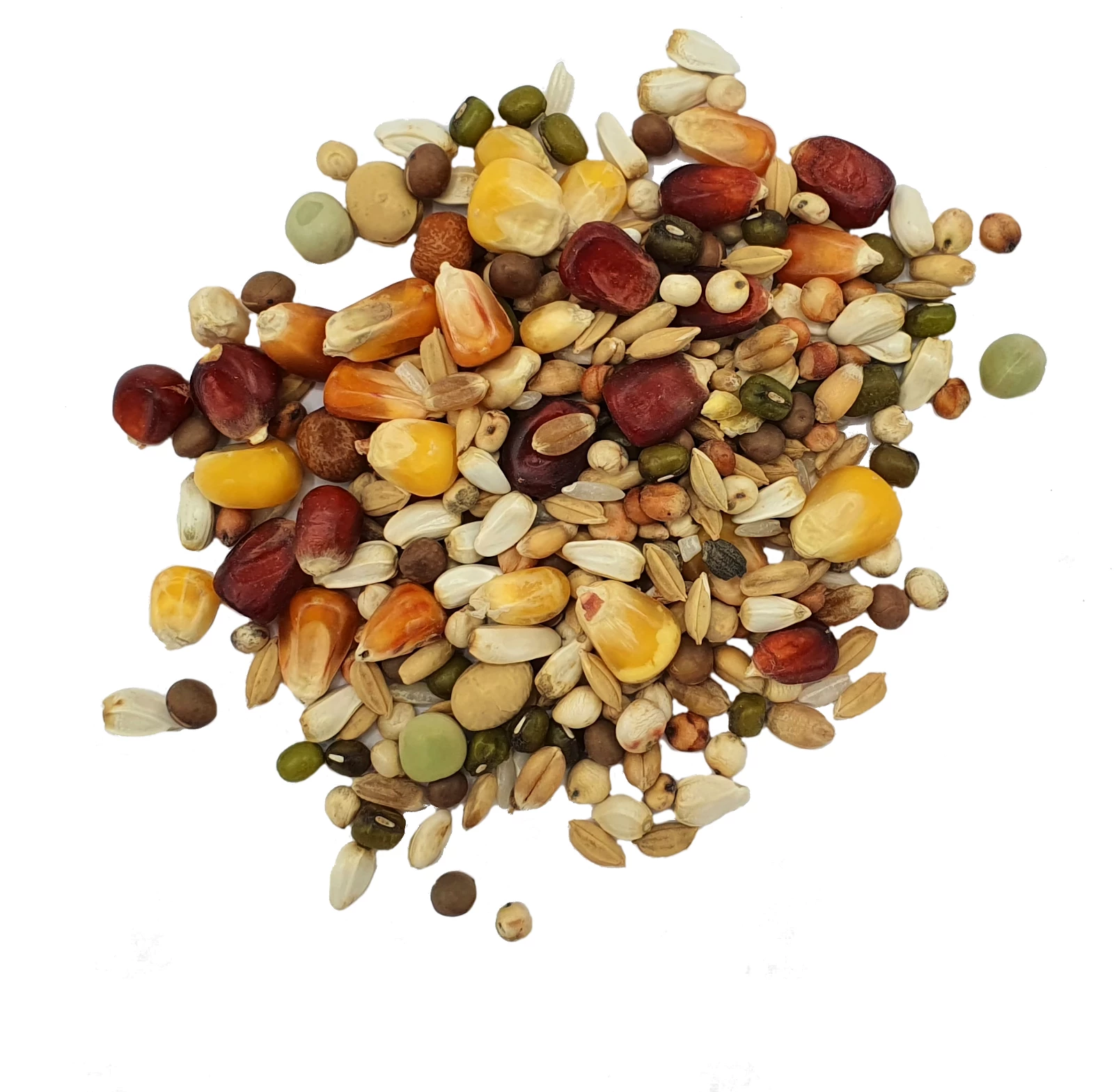 Vanrobaeys Nr.1968 Taubenfuttermischung 25kg 2 Vanrobaeys Nr.1968 Taubenfuttermischung 25kg – Bild 2