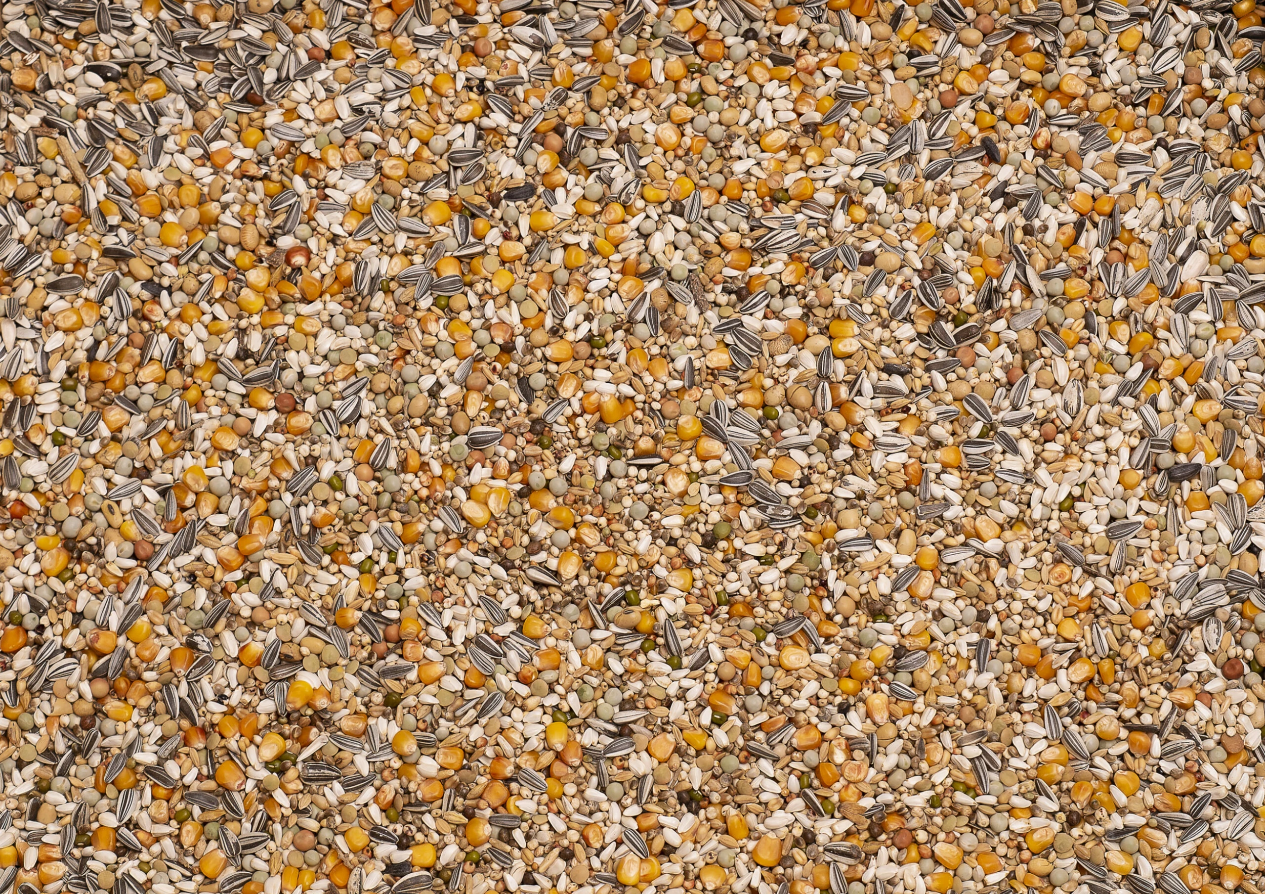 Beyers Prange "Grand Prix" 25kg 1 Beyers Prange "Grand Prix" 25kg