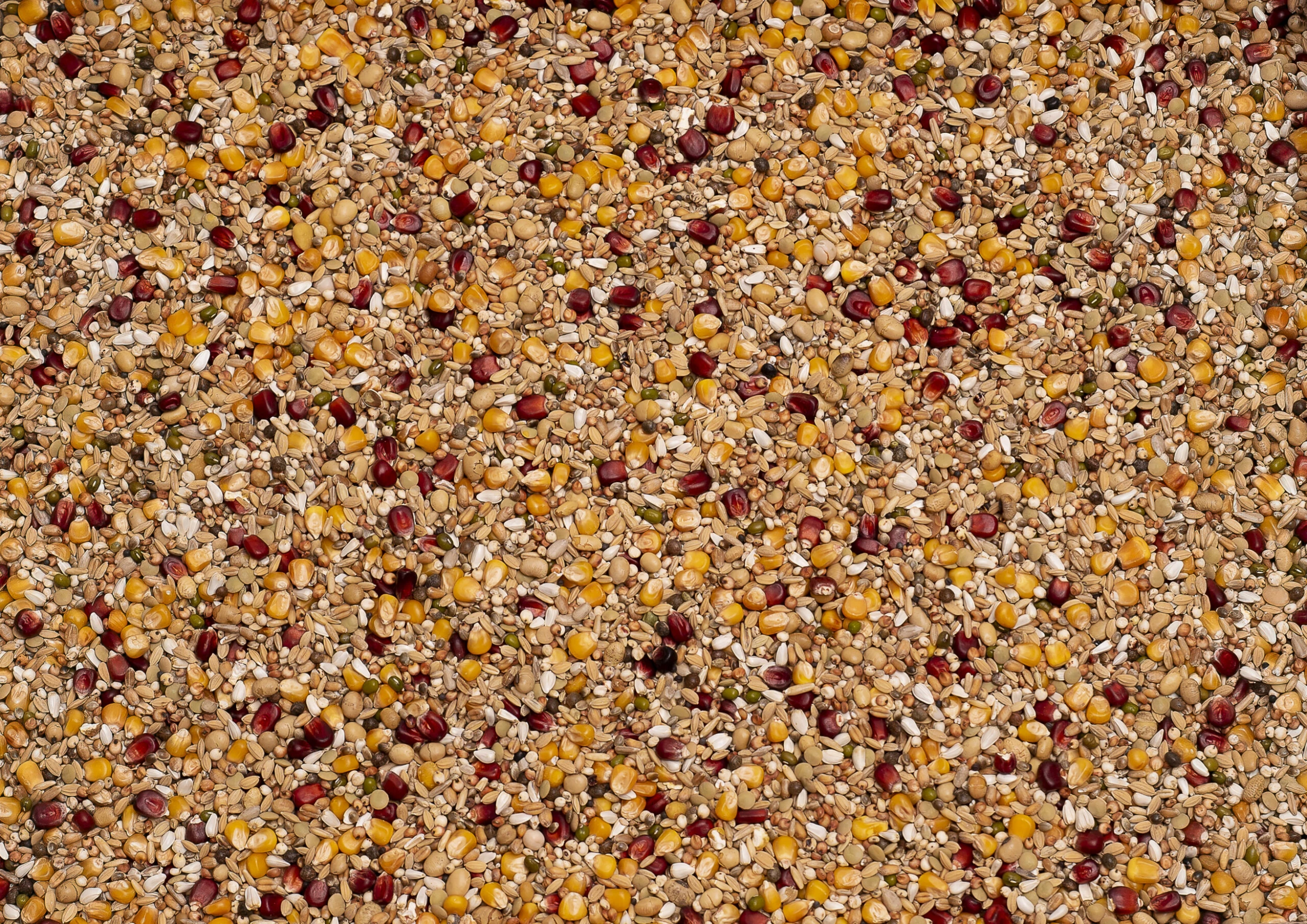 Beyers Premium Enzymix Energy 25Kg 1 Beyers Premium Enzymix Energy 25Kg